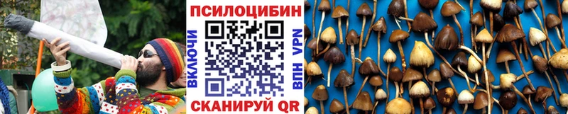 Псилоцибиновые грибы мицелий  цены наркотик  Выкса 